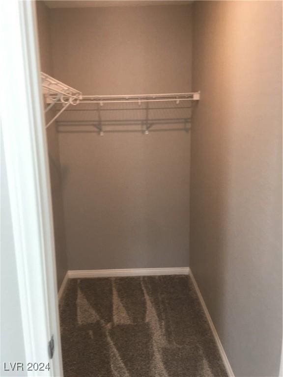 walk in closet with carpet floors