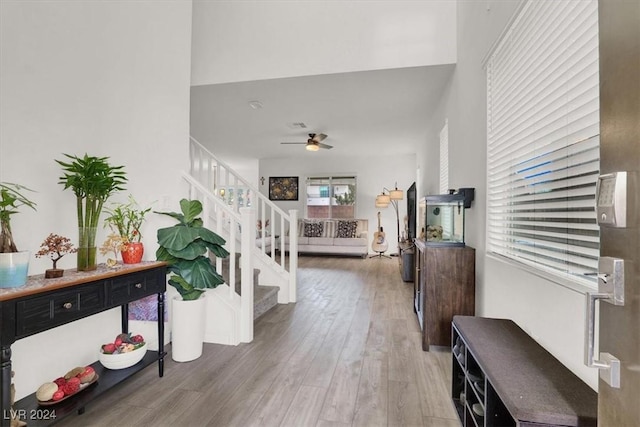 entryway featuring hardwood / wood-style flooring and ceiling fan