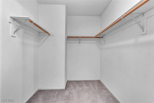 walk in closet featuring light colored carpet