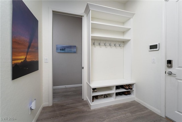 mudroom with hardwood / wood-style floors