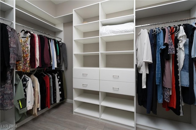 spacious closet featuring wood-type flooring