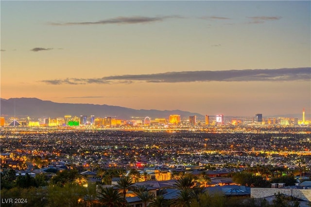 property's view of city with a mountain view