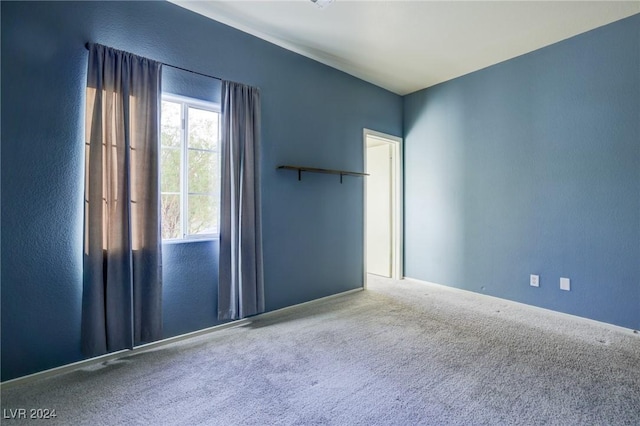 unfurnished room featuring carpet flooring