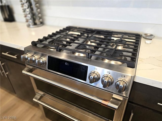 interior details featuring stainless steel range with gas stovetop and light hardwood / wood-style flooring