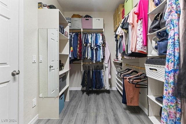 spacious closet with hardwood / wood-style floors