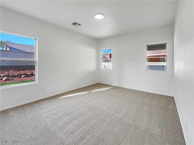 carpeted empty room with a healthy amount of sunlight