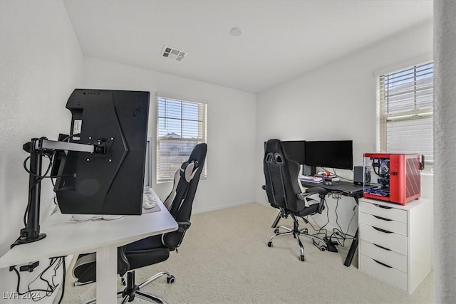 carpeted office with a wealth of natural light