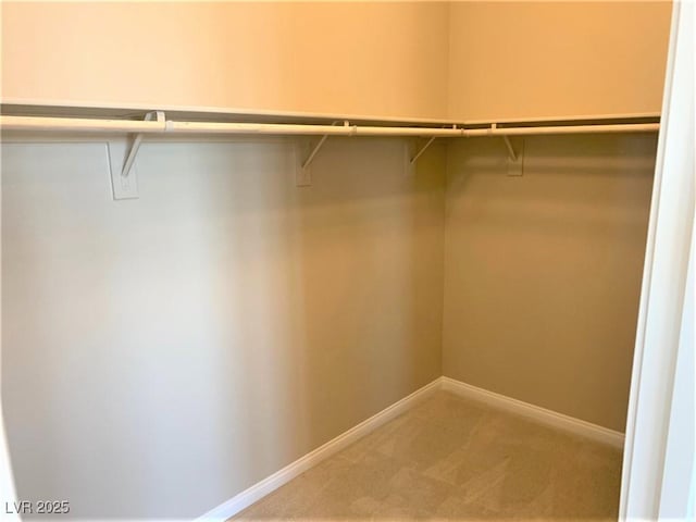 walk in closet with carpet