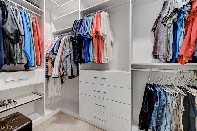 view of walk in closet