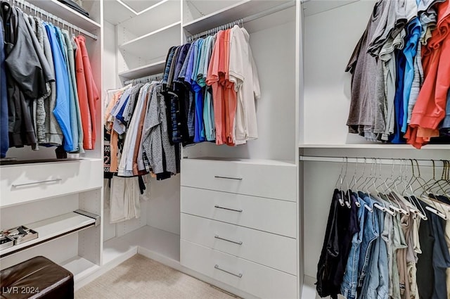 view of spacious closet