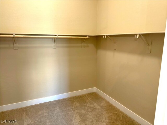 spacious closet featuring carpet flooring