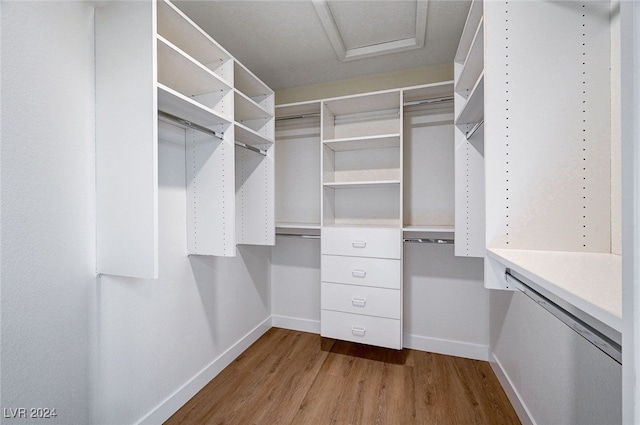 walk in closet featuring light hardwood / wood-style floors