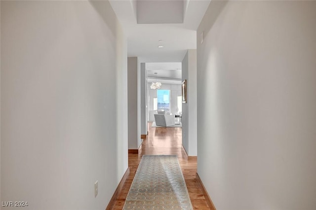 hall featuring hardwood / wood-style flooring