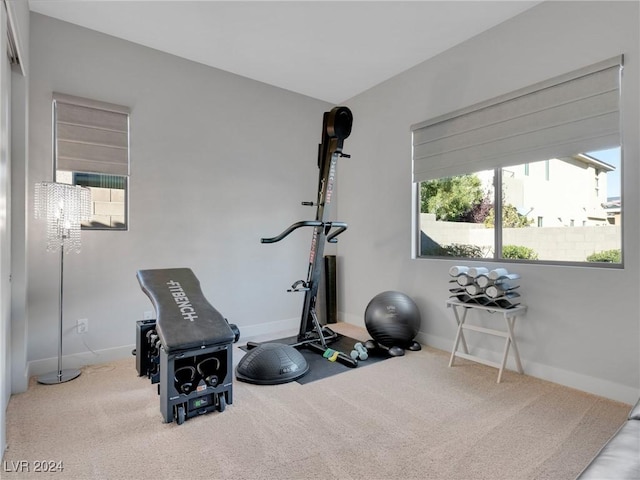 workout area with a healthy amount of sunlight and carpet