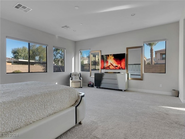 bedroom with carpet flooring