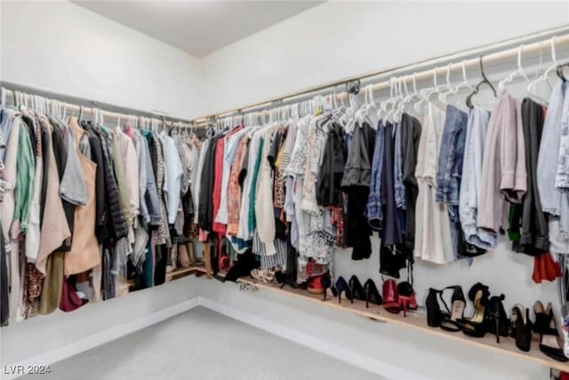 view of walk in closet