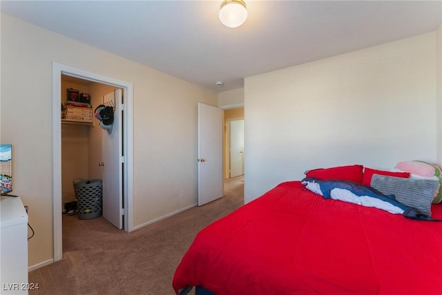 carpeted bedroom with a walk in closet and a closet