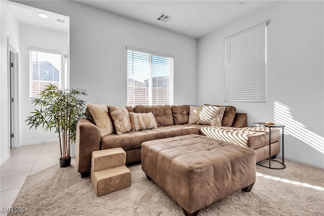 tiled living room with a wealth of natural light