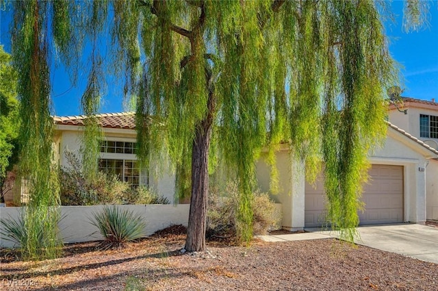 view of property hidden behind natural elements with a garage