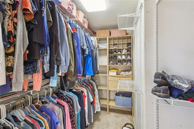 spacious closet featuring light carpet