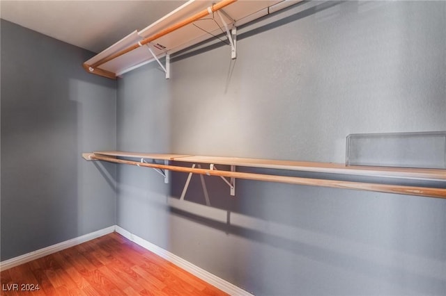 spacious closet with wood-type flooring