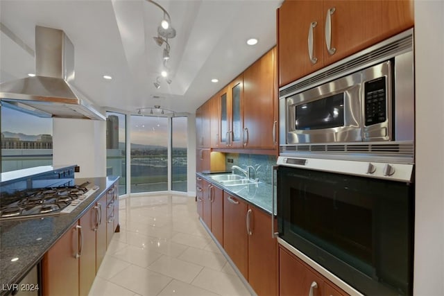 kitchen featuring decorative backsplash, appliances with stainless steel finishes, sink, dark stone countertops, and range hood