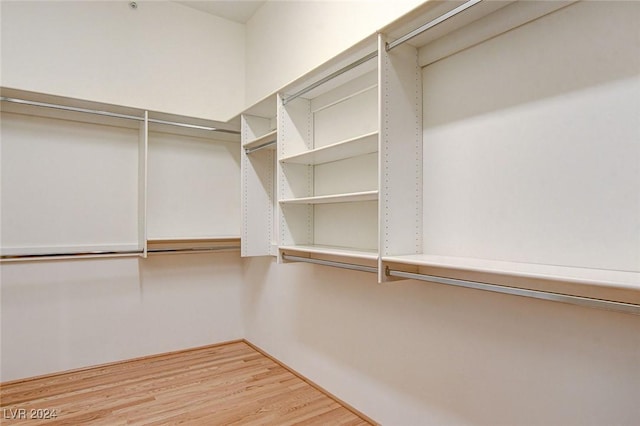 spacious closet featuring light wood-type flooring