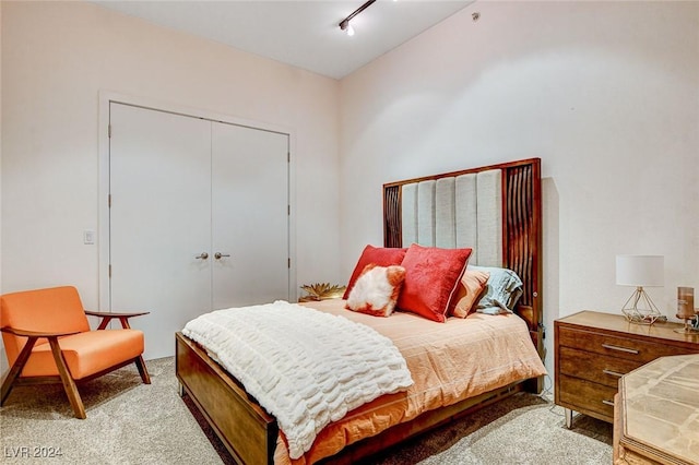 carpeted bedroom with rail lighting and a closet