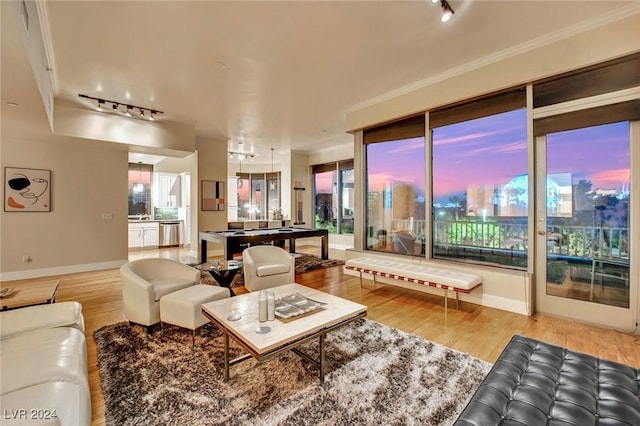 living room with rail lighting, light hardwood / wood-style floors, and ornamental molding