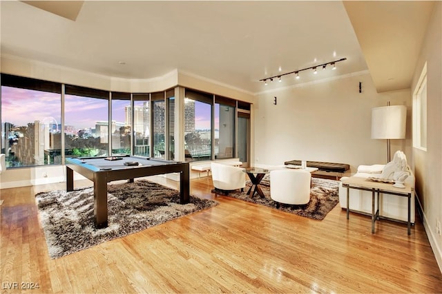 rec room featuring crown molding, light hardwood / wood-style flooring, track lighting, and billiards