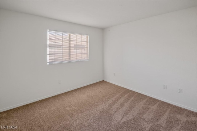 empty room featuring carpet