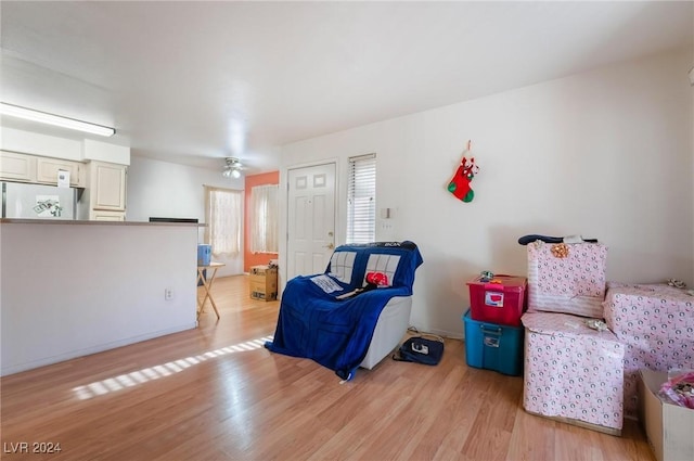 living room with light hardwood / wood-style floors