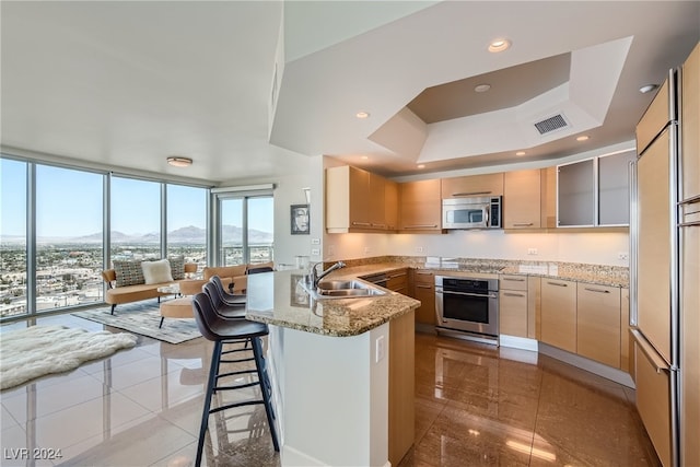 kitchen with a breakfast bar, sink, a mountain view, appliances with stainless steel finishes, and a wall of windows