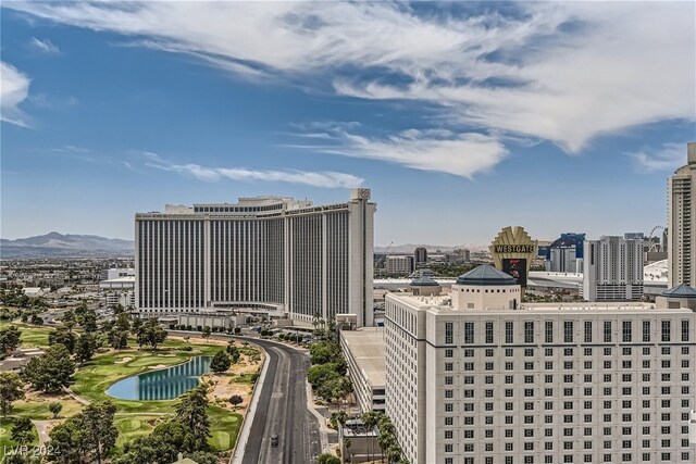 property's view of city featuring a mountain view