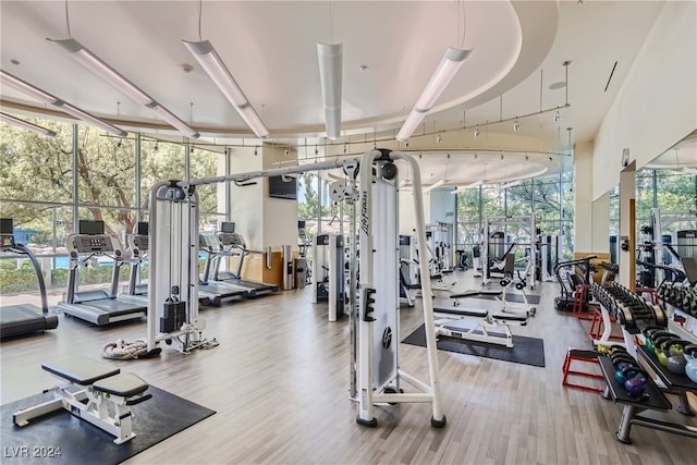 workout area with a wealth of natural light, floor to ceiling windows, and hardwood / wood-style flooring