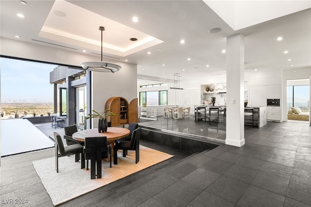 dining area featuring a raised ceiling