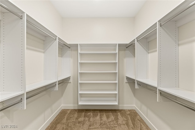 walk in closet with carpet flooring