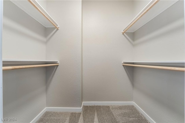 spacious closet with carpet