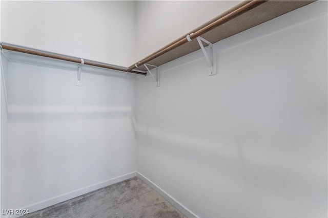 walk in closet with light carpet