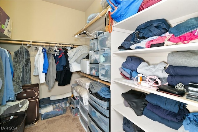 spacious closet featuring carpet flooring