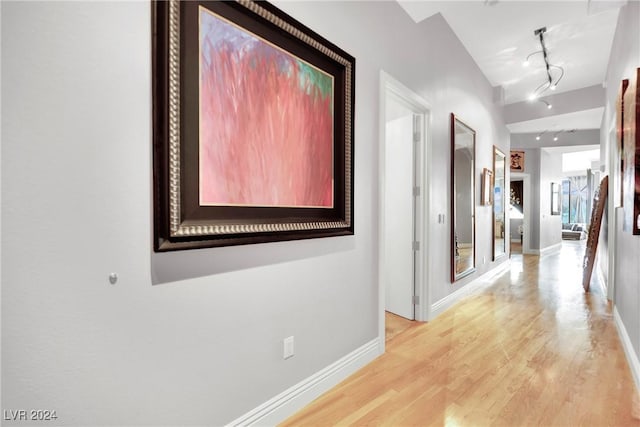 hall with track lighting and light hardwood / wood-style flooring