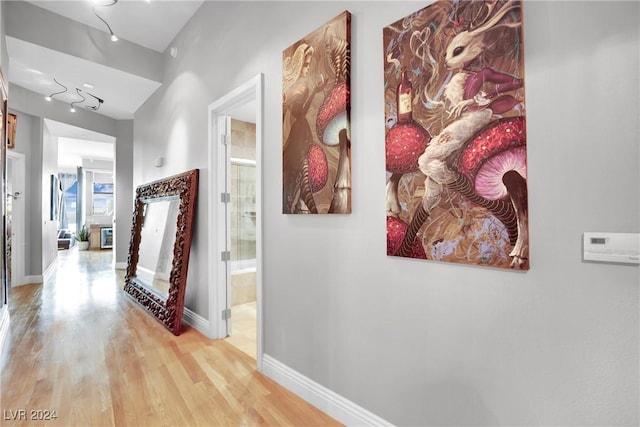 hallway with rail lighting and light hardwood / wood-style floors