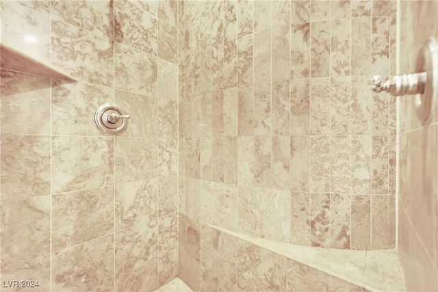 room details with tiled shower