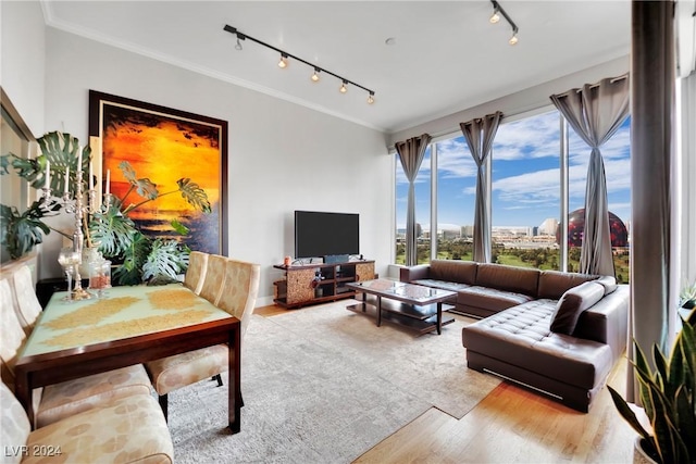 living room featuring rail lighting, light hardwood / wood-style flooring, and ornamental molding