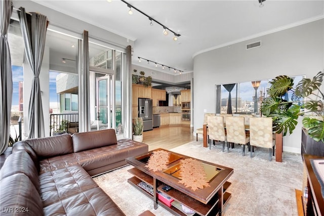 living room with crown molding, rail lighting, and light hardwood / wood-style floors