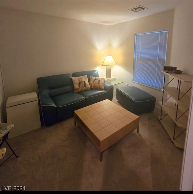 living room featuring carpet floors