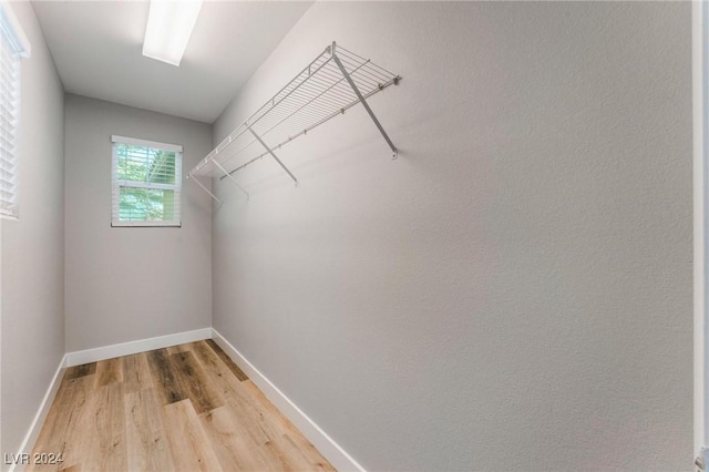 spacious closet with hardwood / wood-style floors