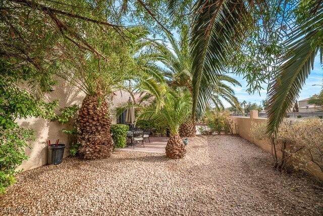 view of yard featuring a patio