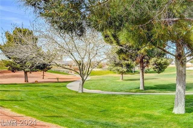 view of home's community featuring a yard