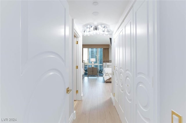 hallway with light hardwood / wood-style floors